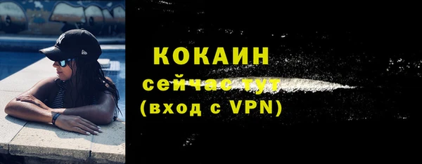 соль ск Богданович
