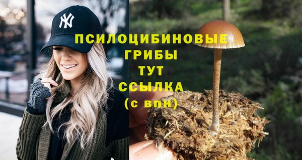 стафф Белоозёрский