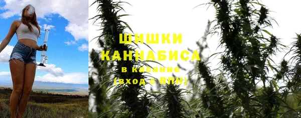 прущая мука Богородицк